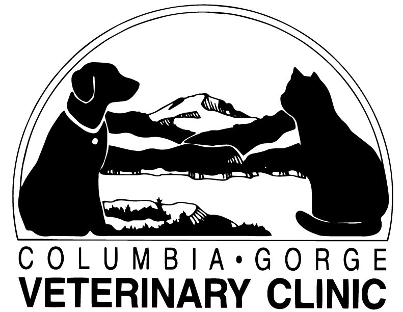 Columbia_-logo_transp.jpg