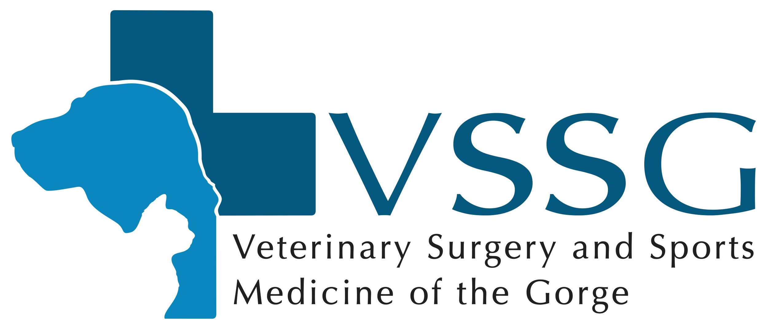VSSG2022Logo.jpg