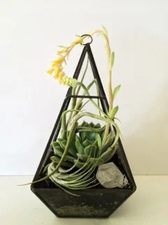 Terrarium by Fiore Floral