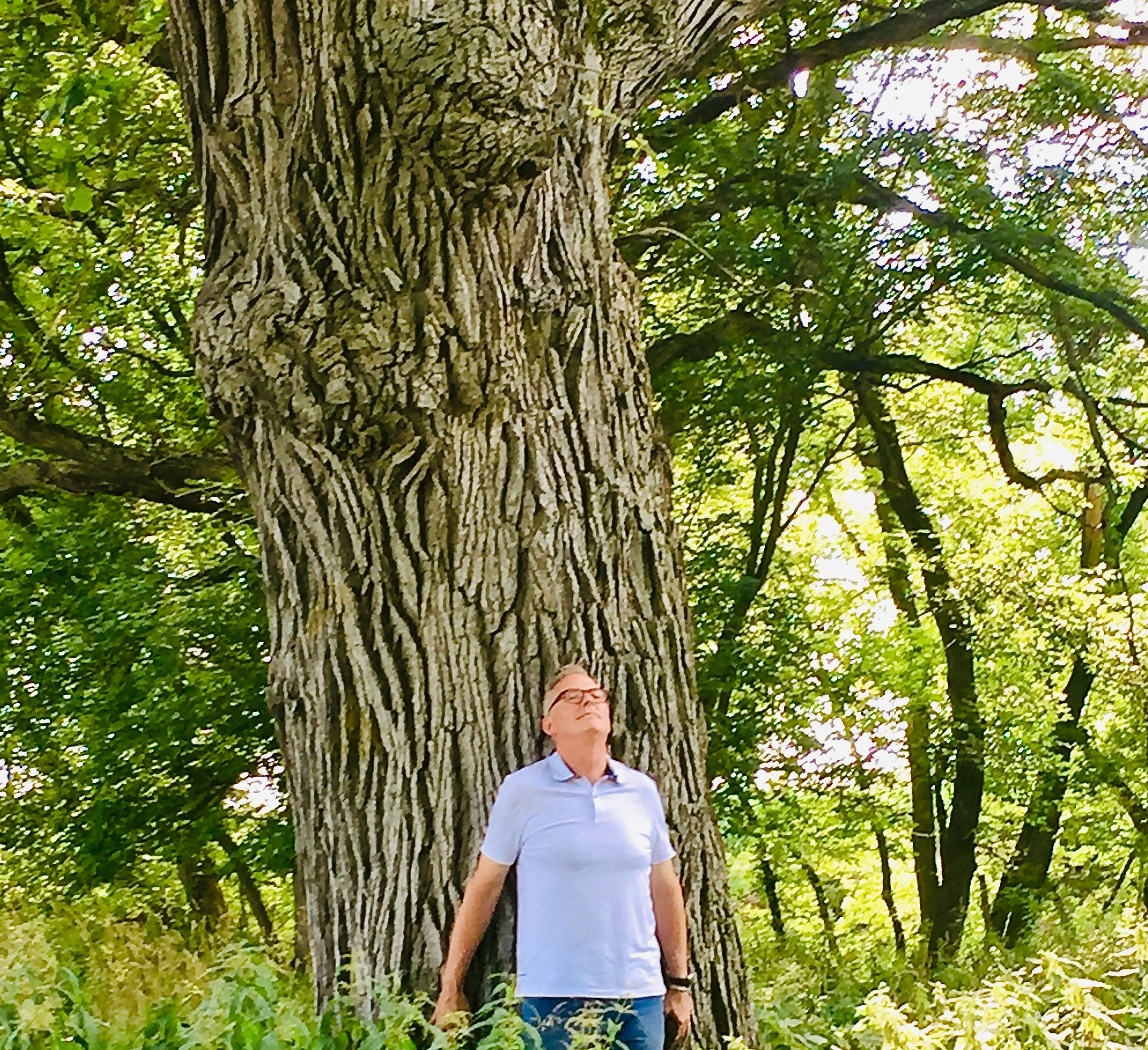 Connecting with the Horsepower within the trunk of the tree.