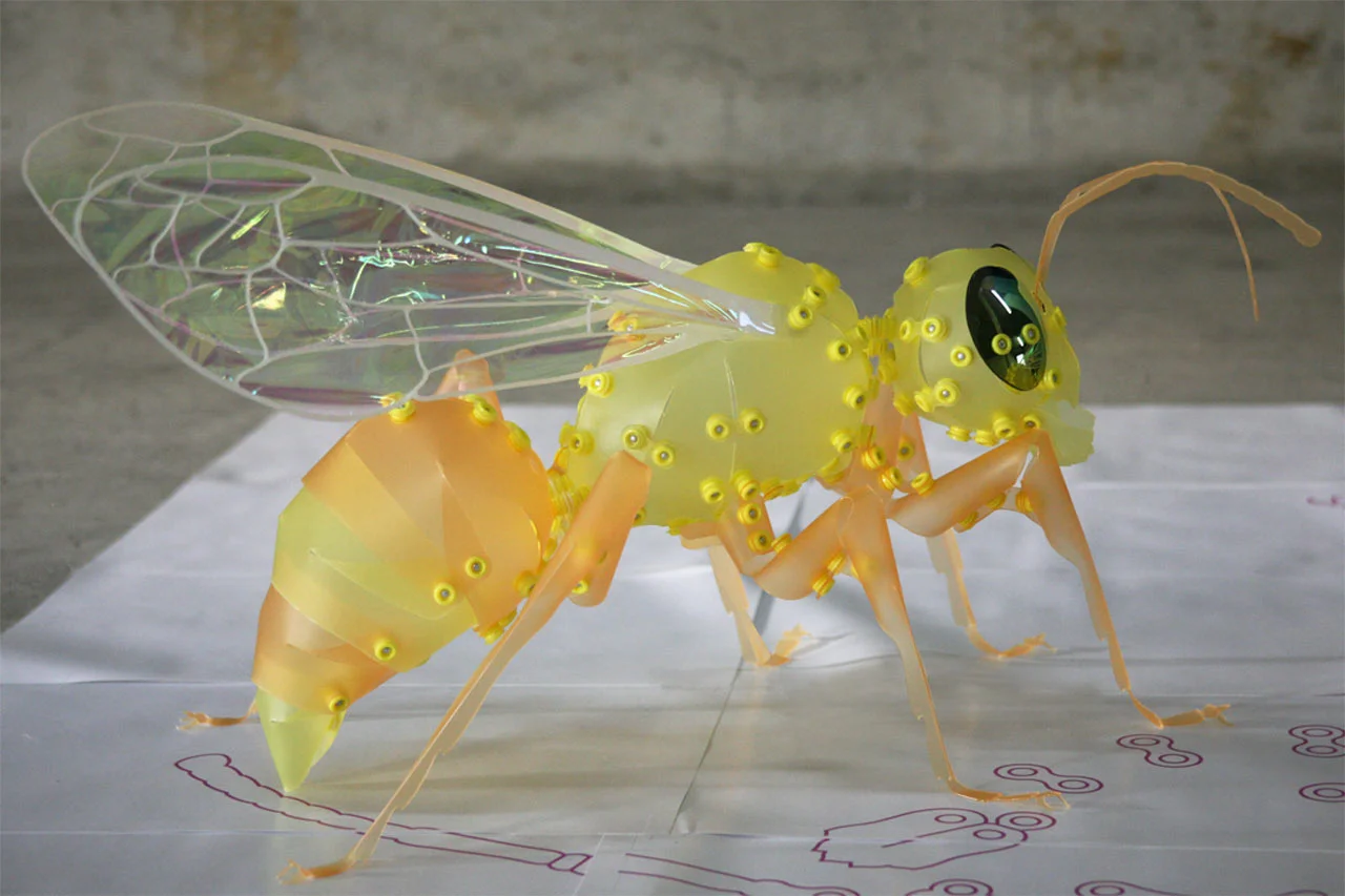 Wasp_1.jpg