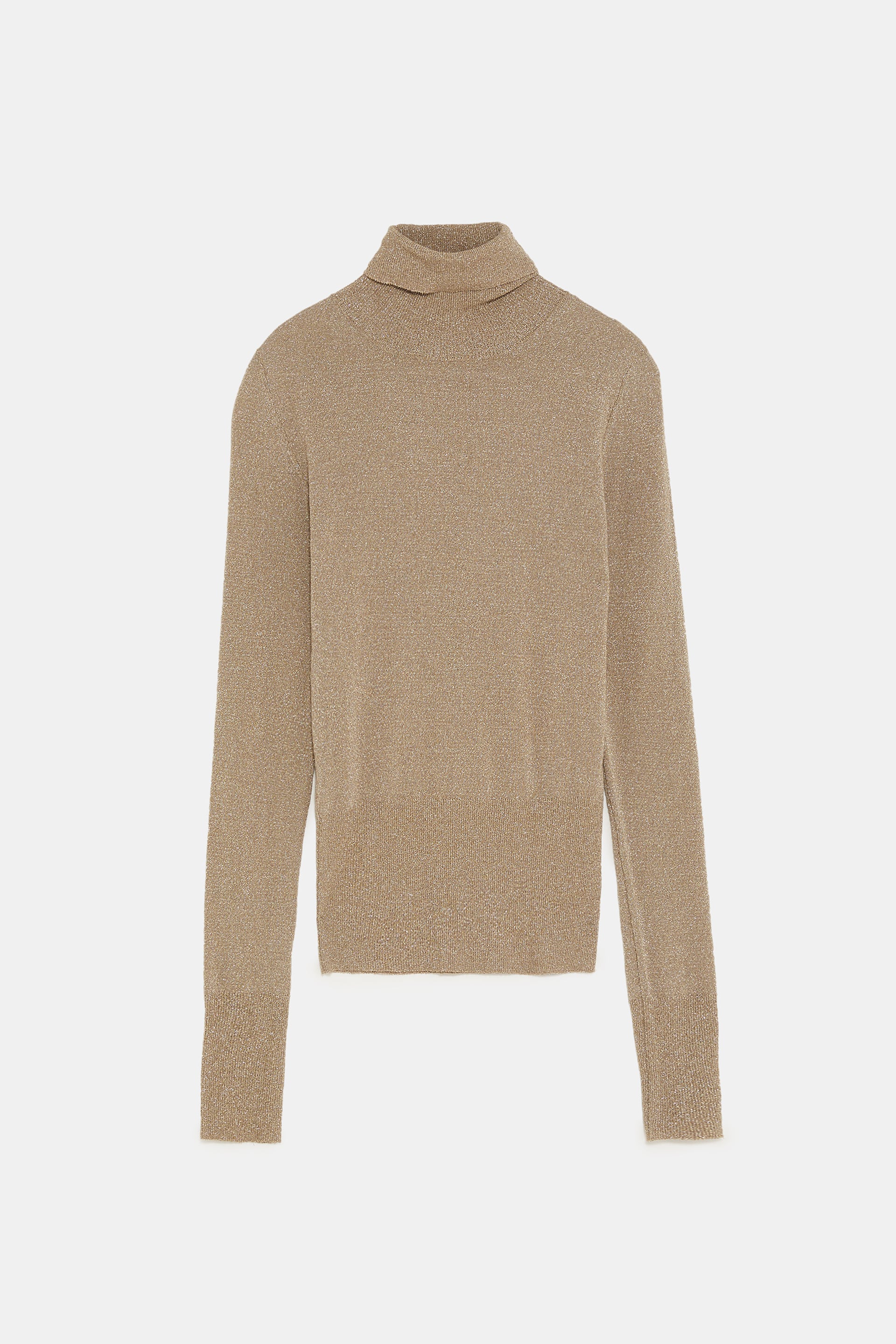 Zara Metallic Turtleneck