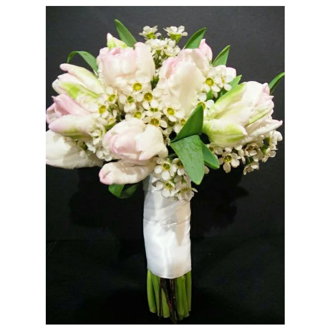 Parrot Tulips and Wax Flowers
