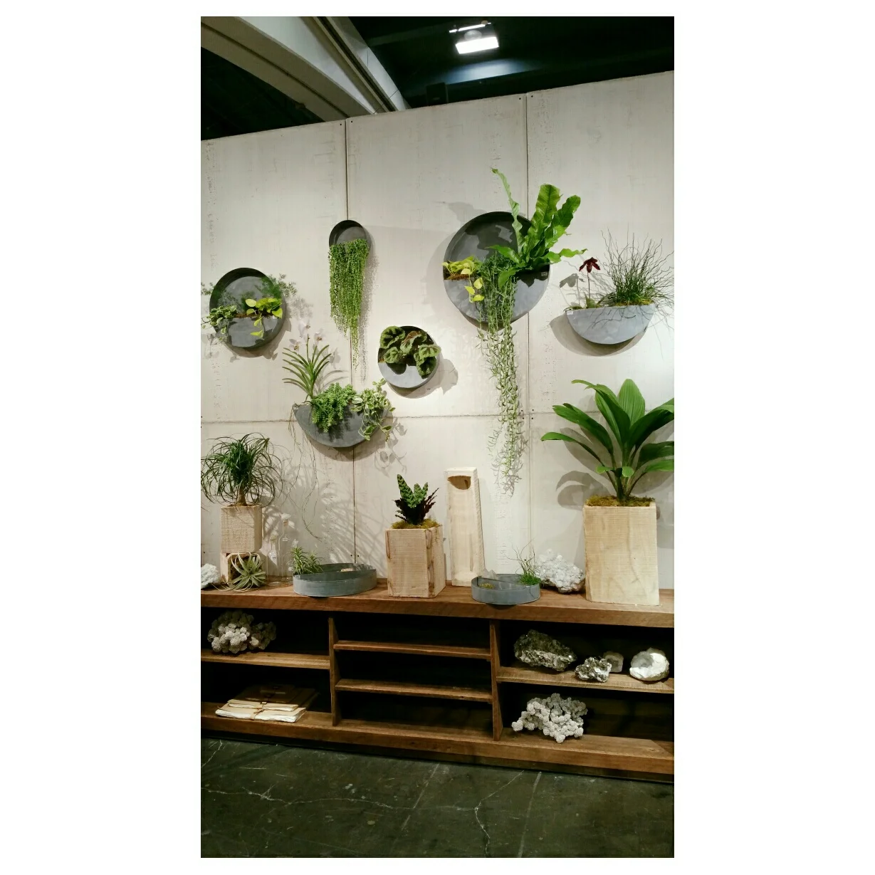 The New Living Wall