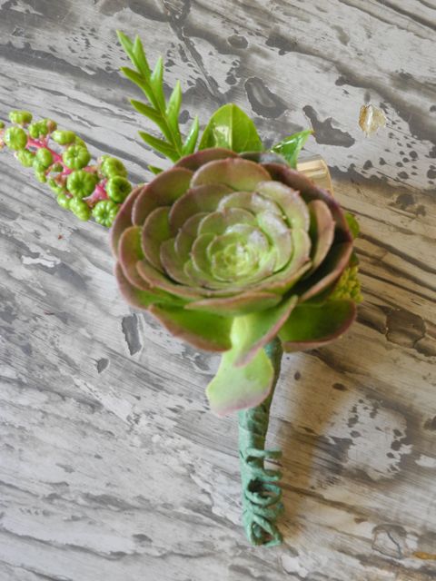 Succulent Boutonniere