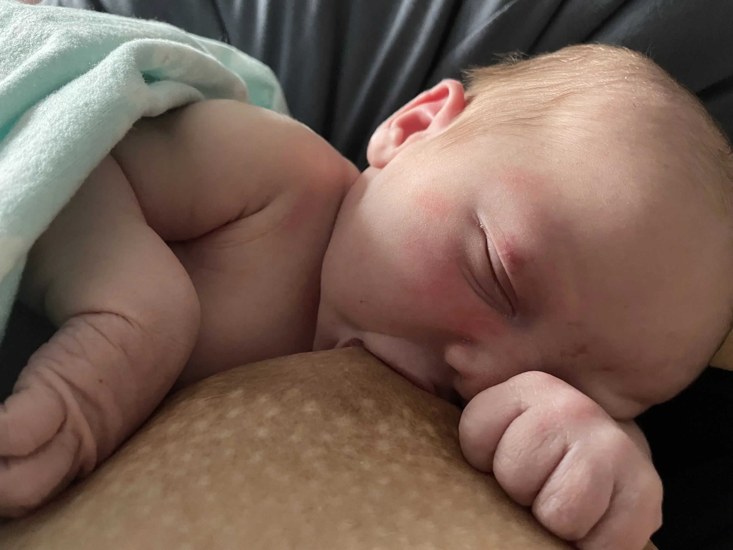 Lactation Basics 