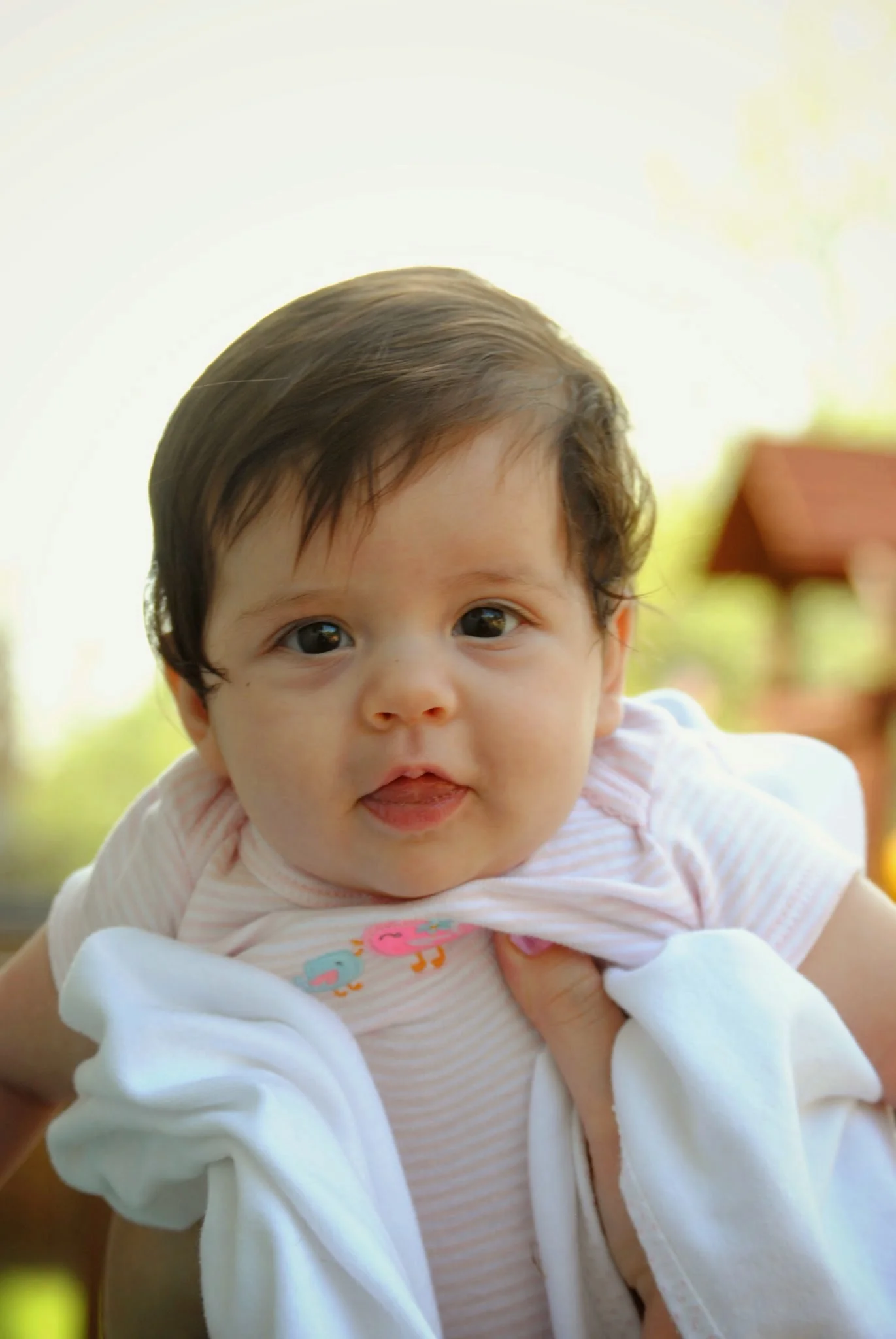 DSC_5492ed.jpg