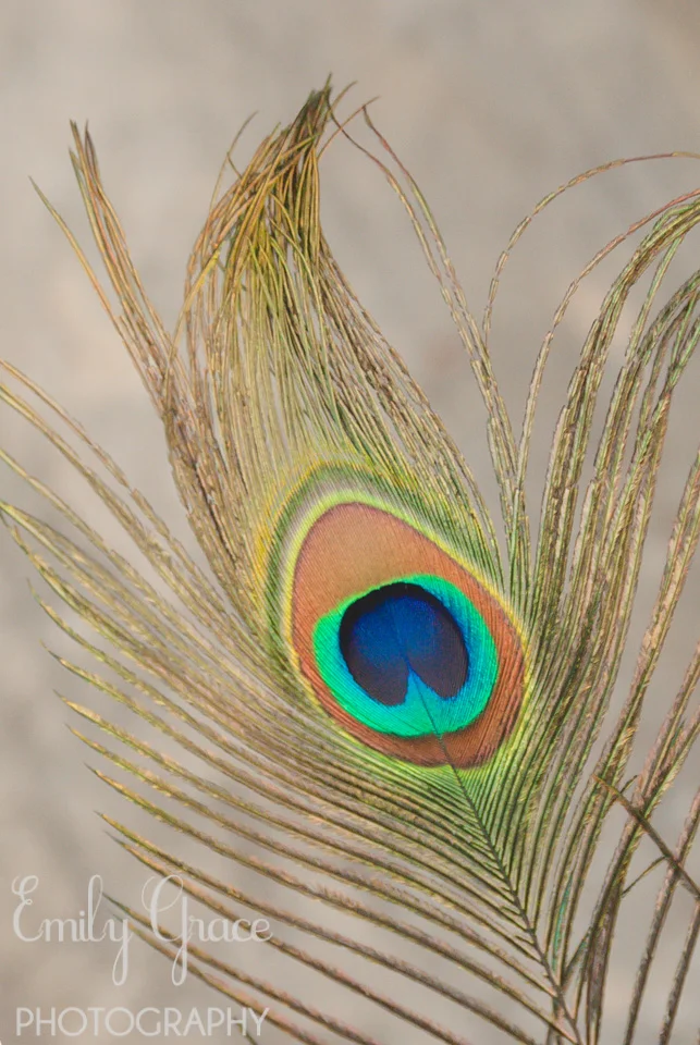 Willow & Luis | 2nd Shooting Downtown Kansas City Wedding