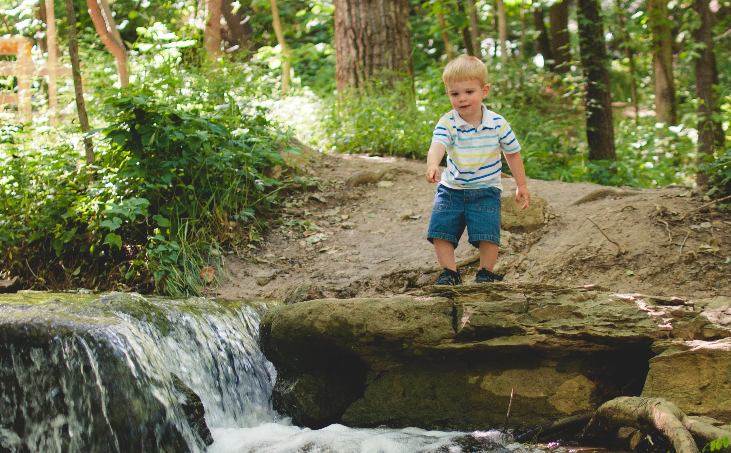 Levi | Two Years Old