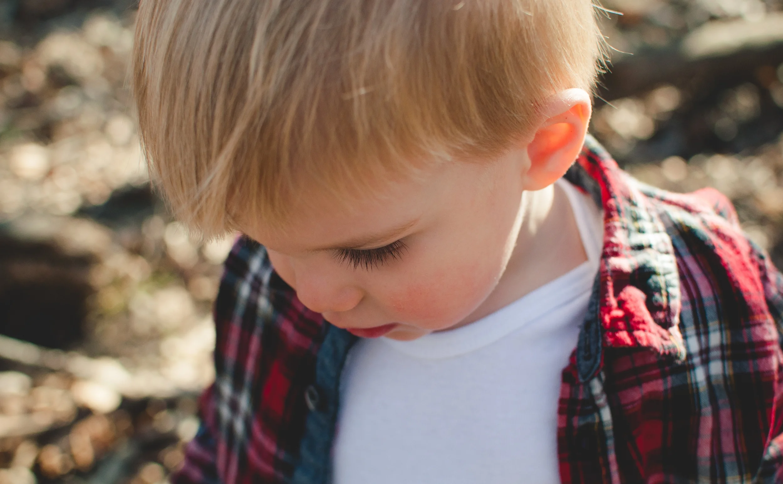 Levi | Toddler Portraits 