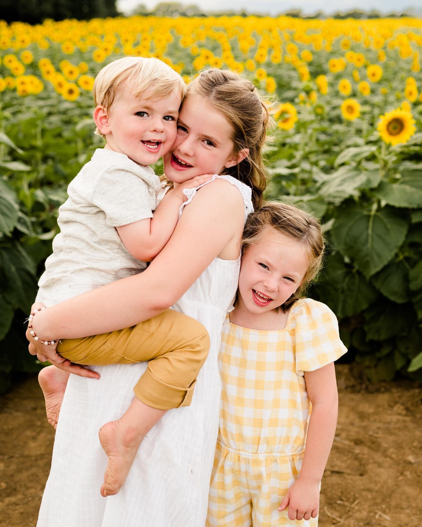 First preview from this year's sunflowers 🌻 I just saw that my first trip to this field was 9 years ago; every year it's just has breathtaking. 😊