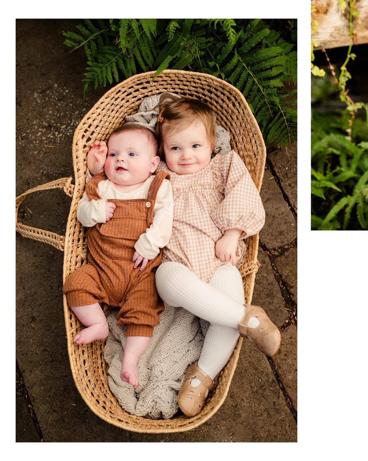 These two little ones are just too cute! 🌿 #kcphotographer #kcfamily #kcfamilyphotographer @johnsgreenhouse