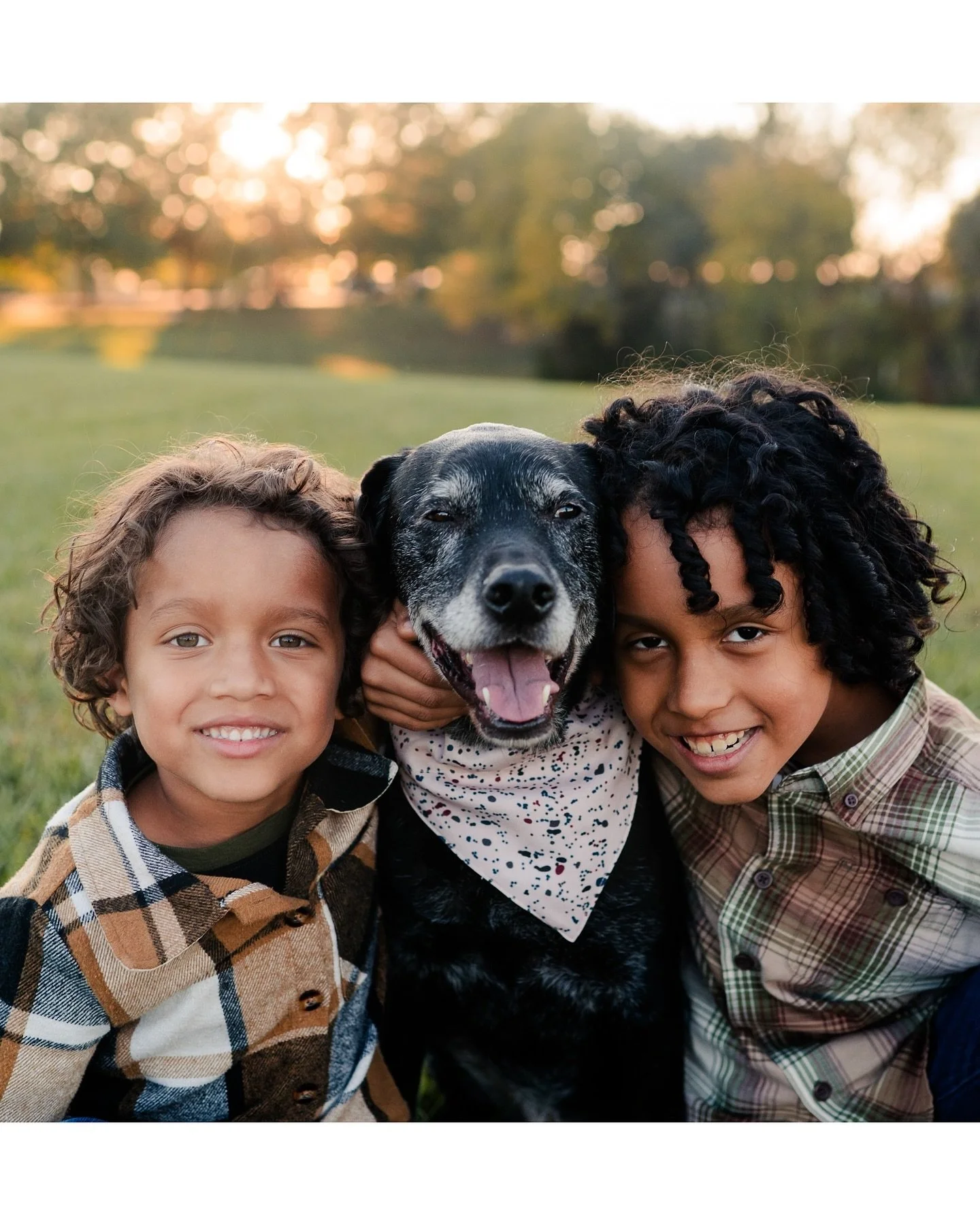 Wrapping up the fall family photo season but I still have so much to share! All the best boy and dog craziness in the golden light at this session. 😊