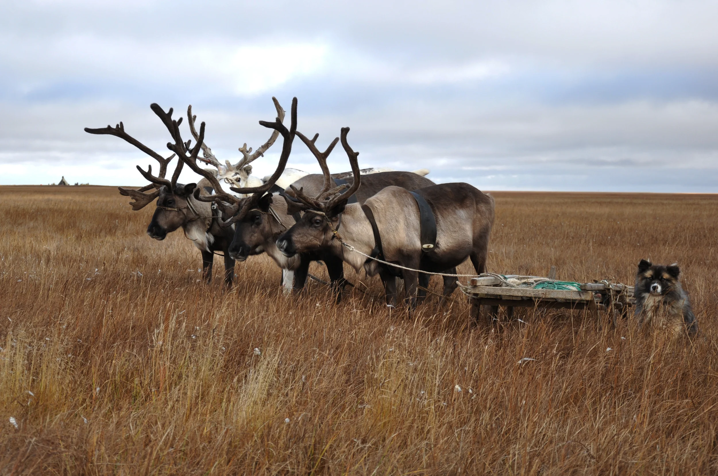 GOD'S WORD CANNOT BE FROZEN