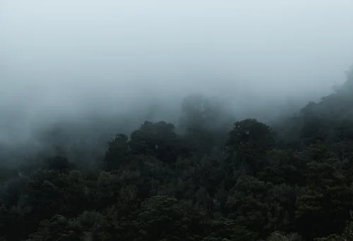 THINGS WE CANNOT SEE, BUT KNOW THEY EXIST