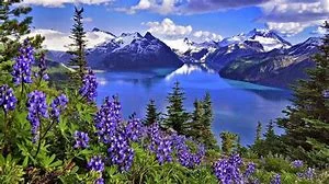 THE KEEPER OF THE SPRINGS