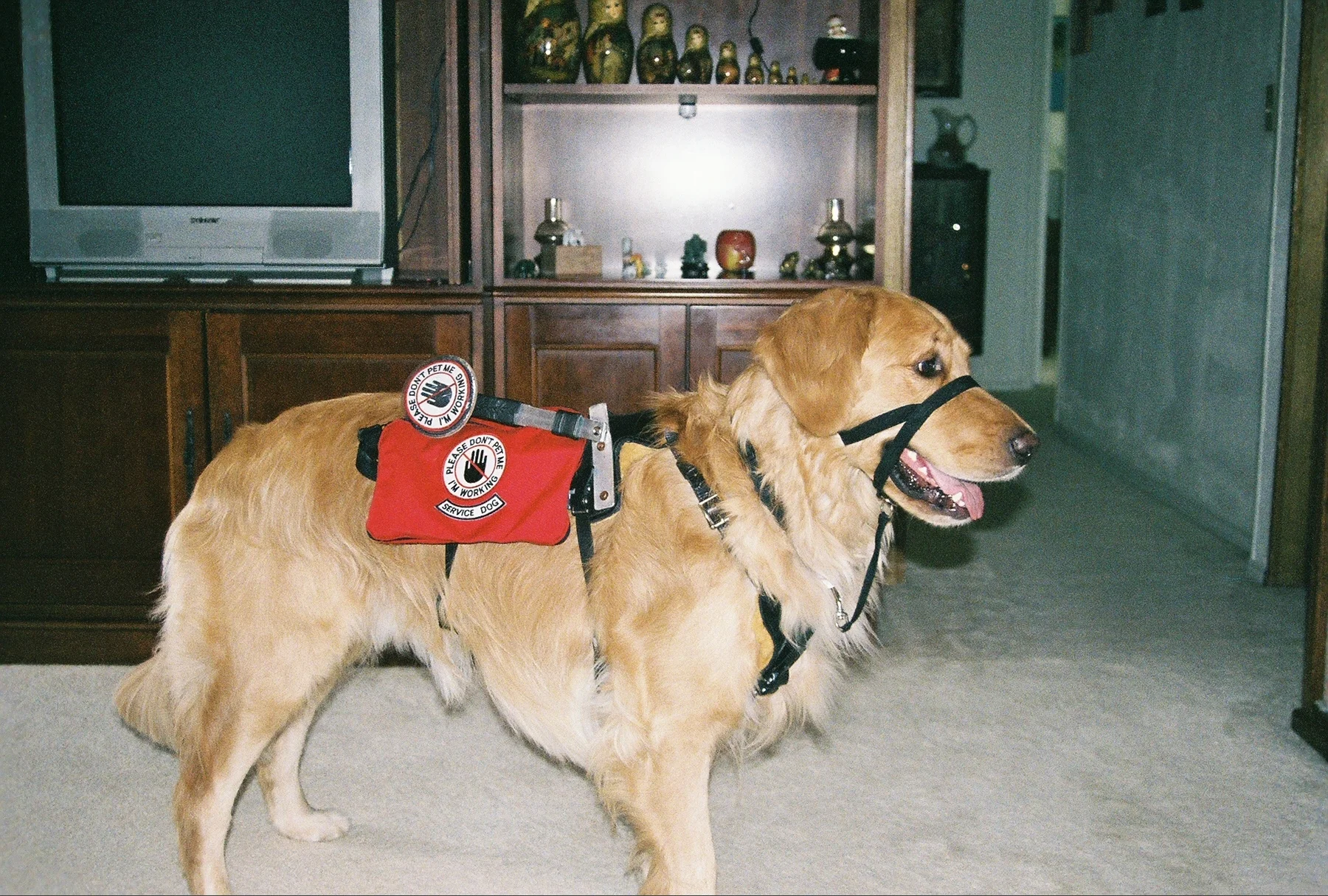 TRAVIS AND HIS MEDAL