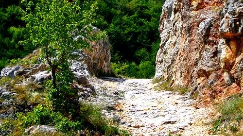 THE KING'S HIGHWAY
