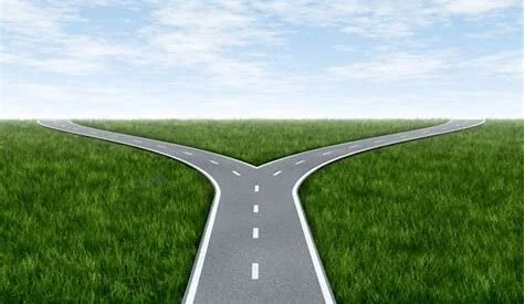WE HAVE TWO CHOICES