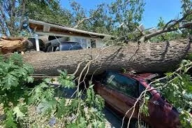 WHAT CAN A DERECHO DO?           PART 4