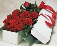ROSES FOR A DIME