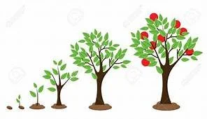 THOUGHTS ABOUT GROWING OLDER