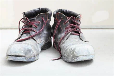 THE MAN'S SHOES