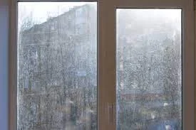 THE WINDOW STORY