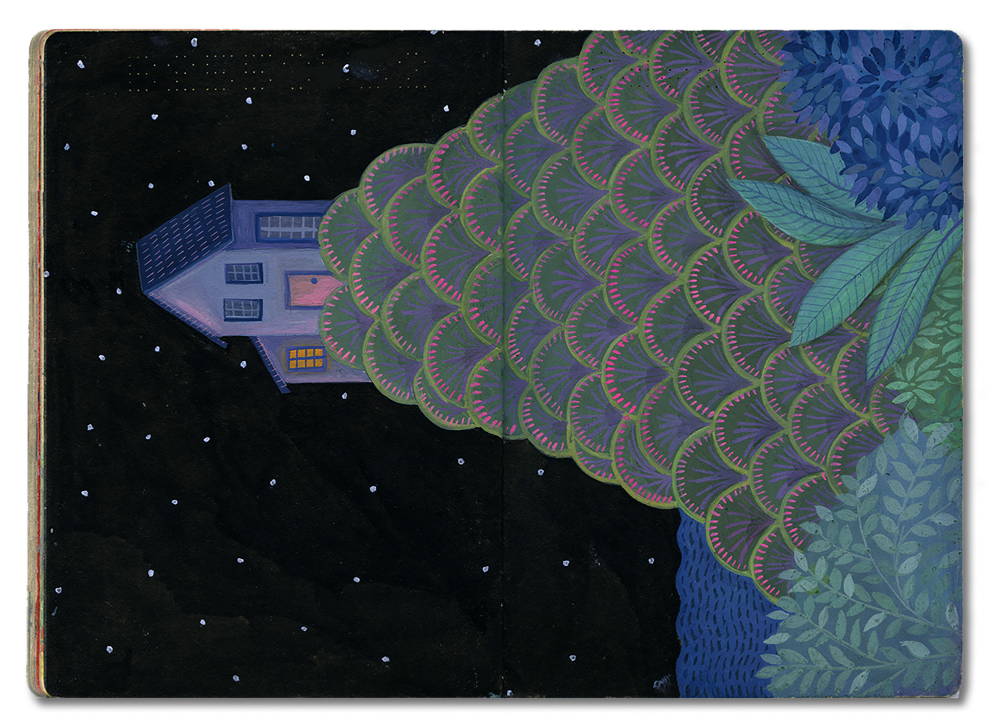 P_0012_13.png