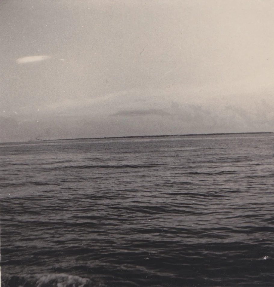 Scan 1.jpeg