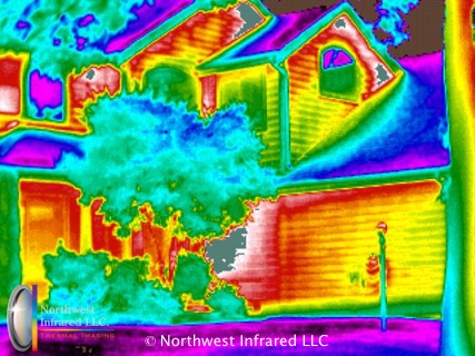 Infrared-Unusual6.ir20110728_3506a.jpg