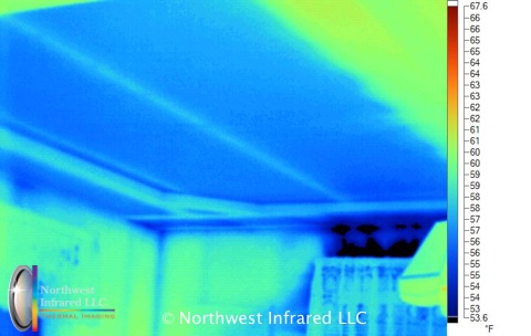 Infrared-Unusual8.missing-insulation-in-ceiling.jpg