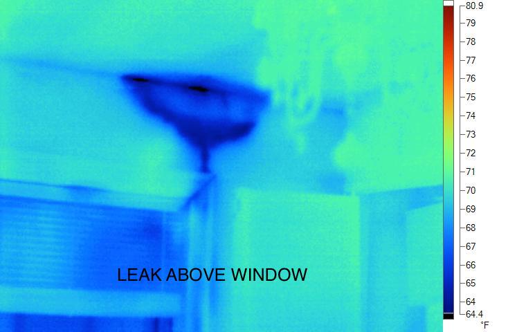 IR20060202_57380.jpg