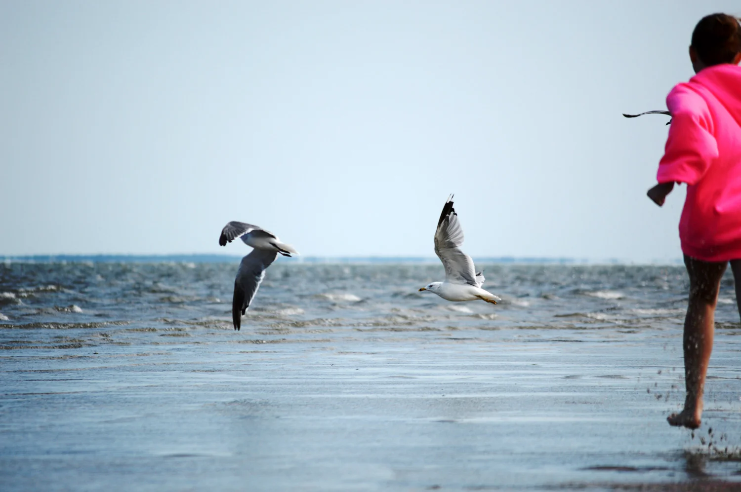 Cape Cod - Breakwater Beach, Brewster