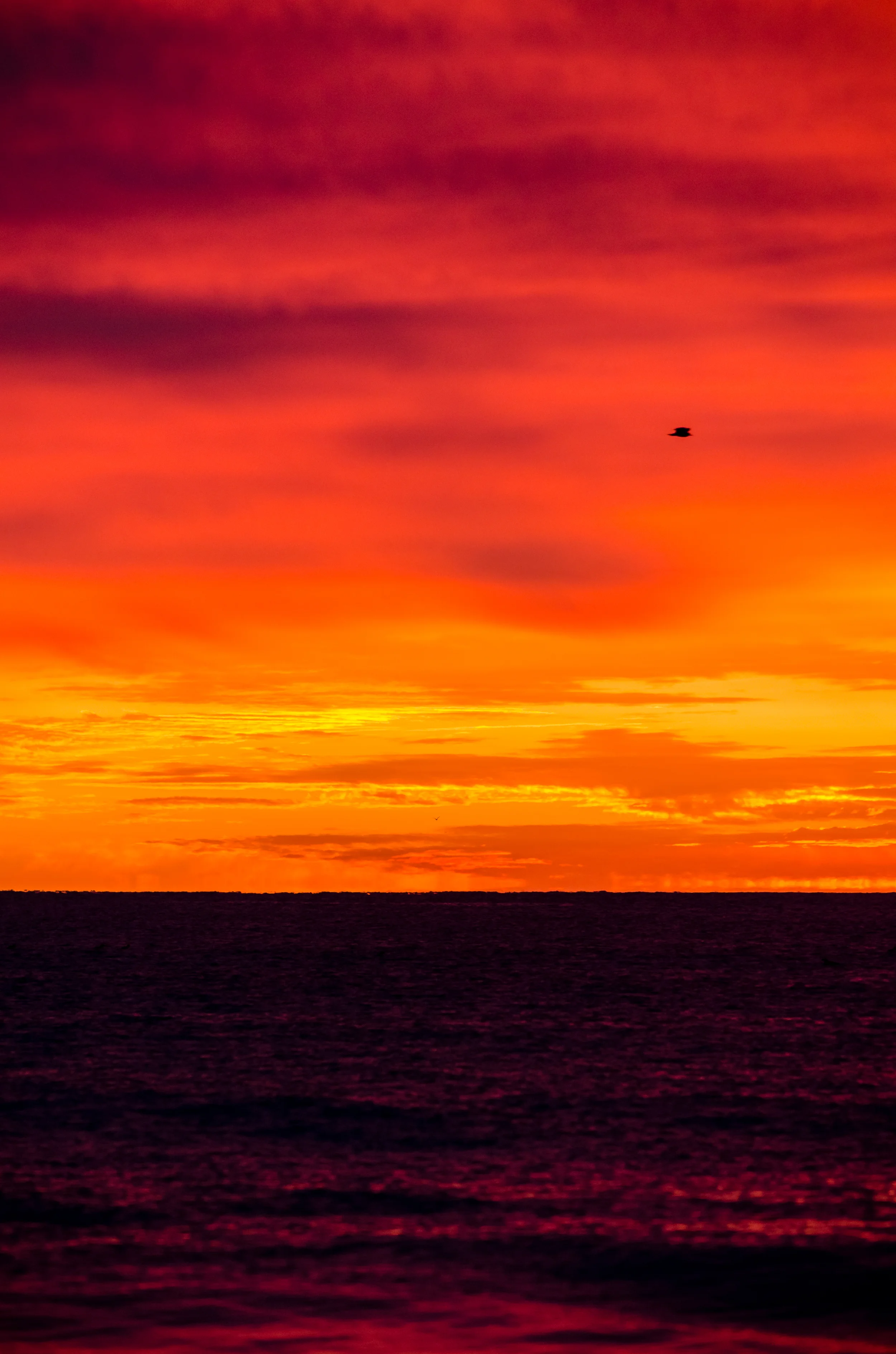 _DSC0418.jpg