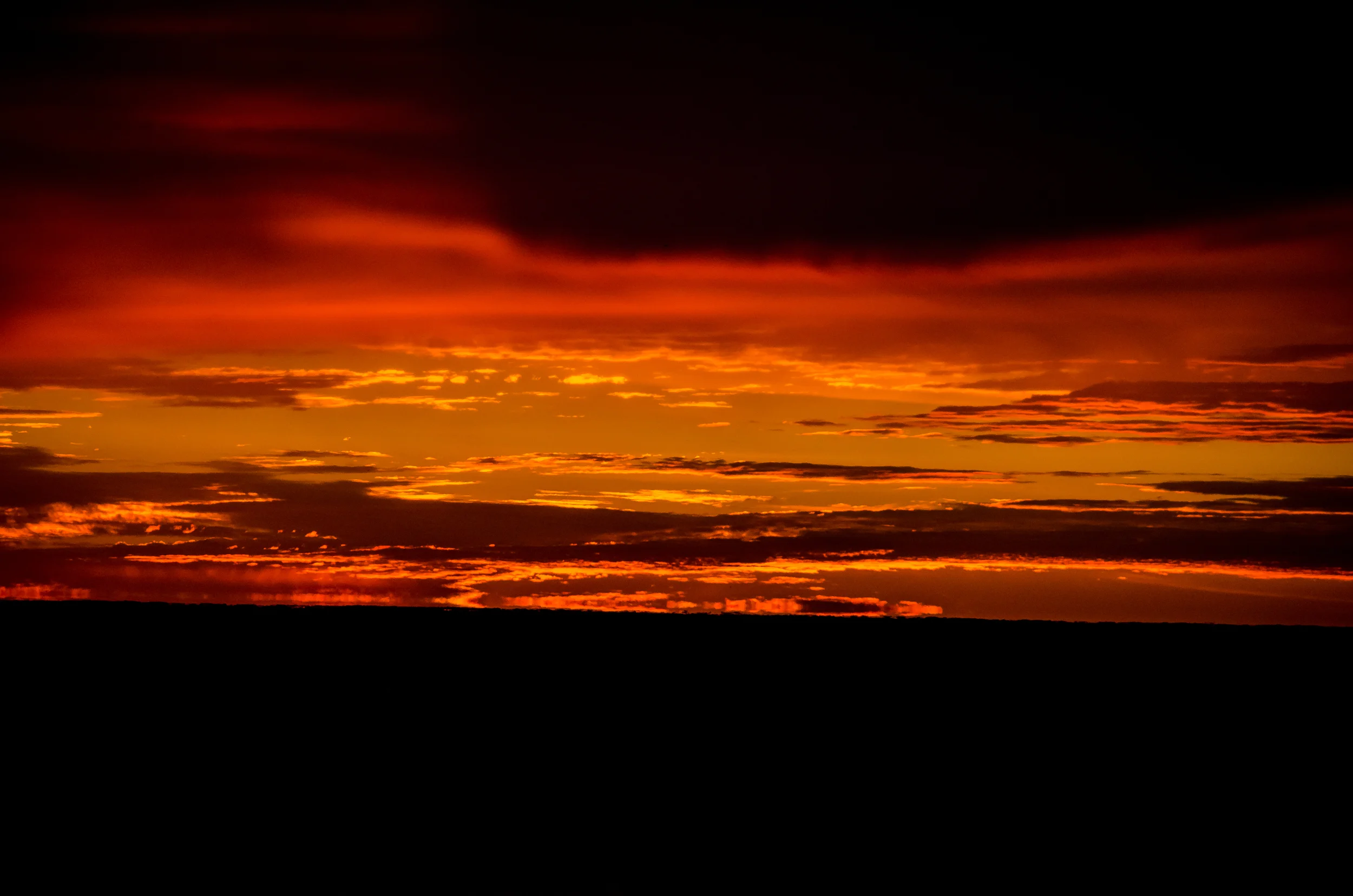 _DSC0433.jpg