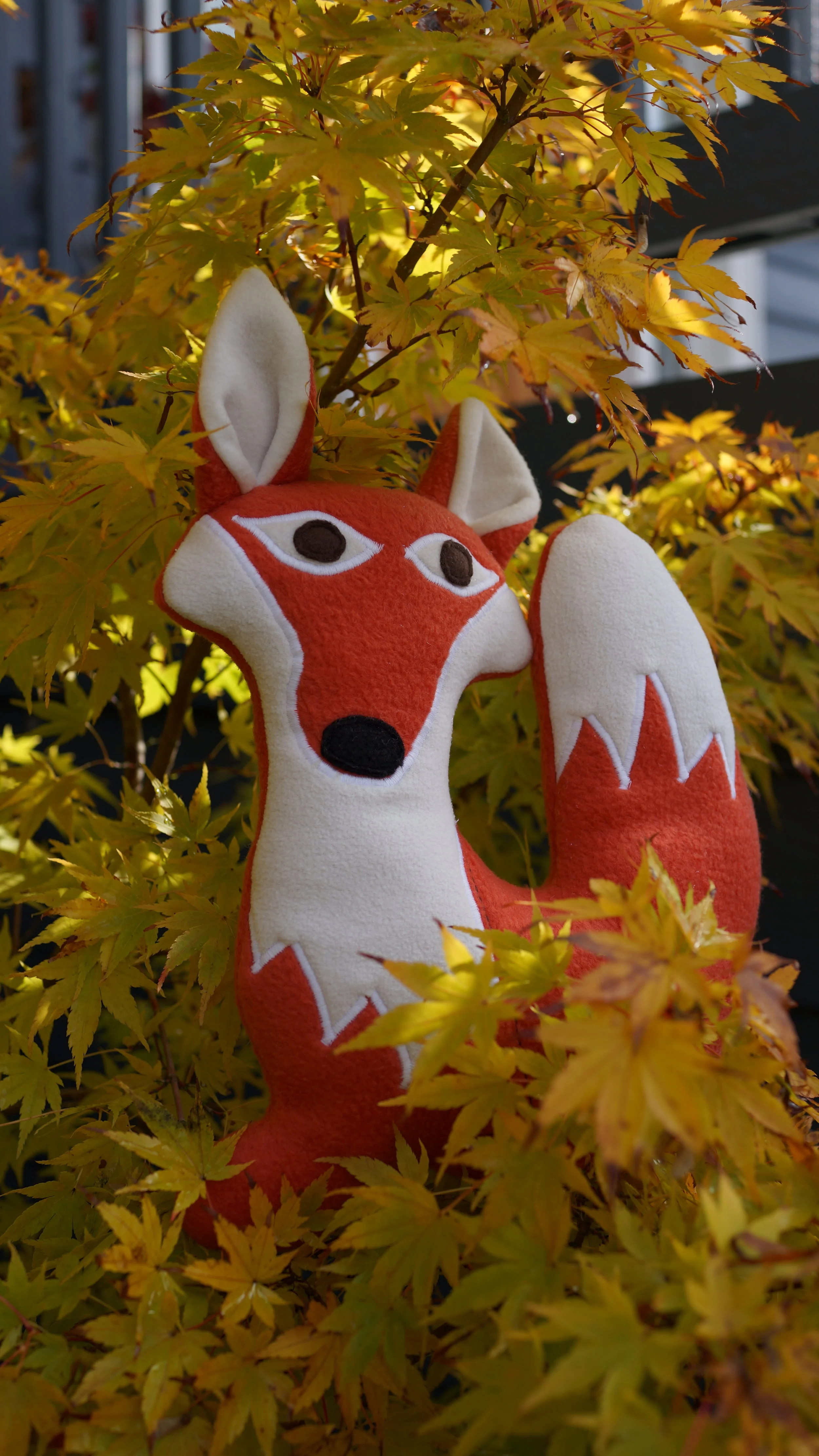 DSC03747.JPG