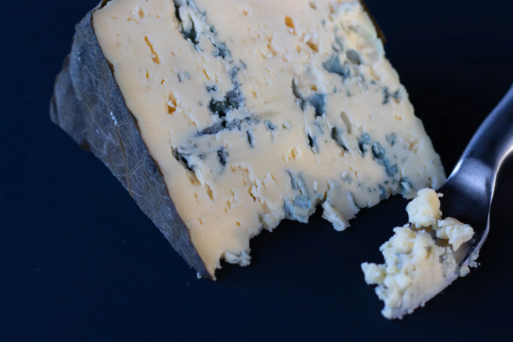 Sequatchie Cove Creamery