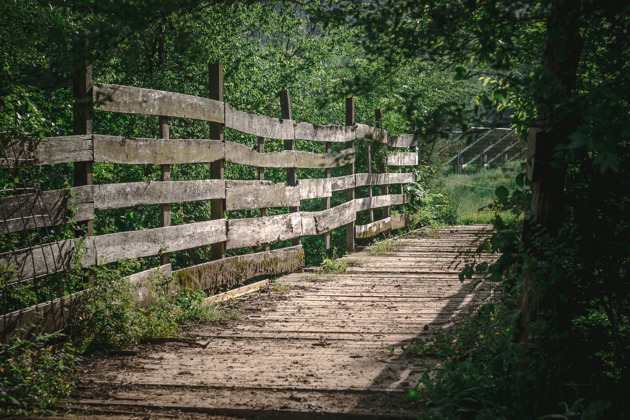 Sequatchie Cove Creamery