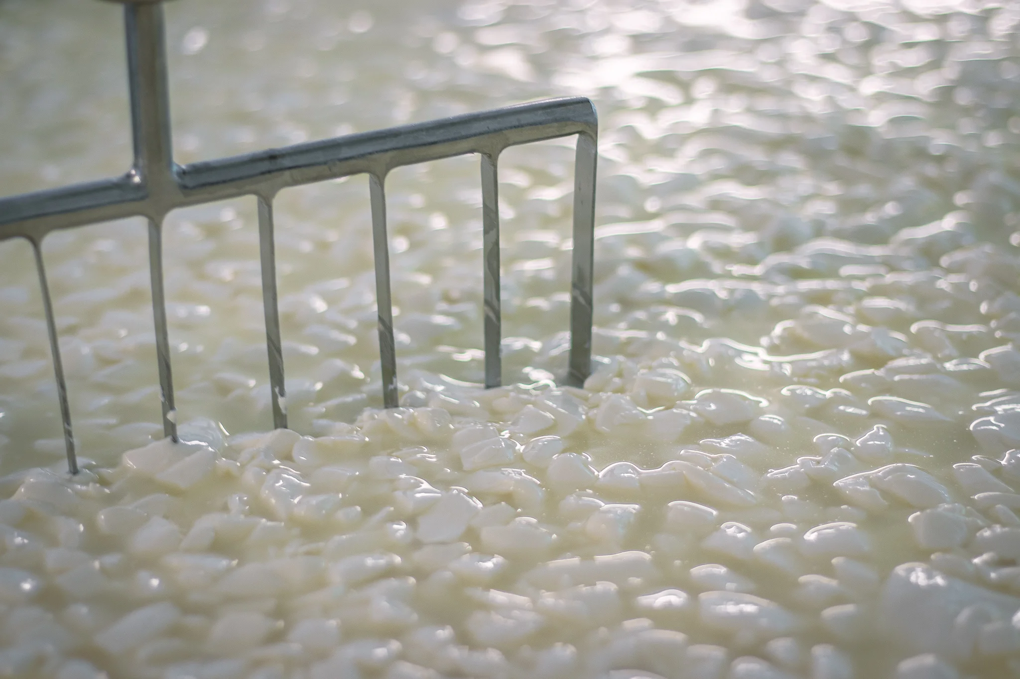 Sequatchie Cove Creamery