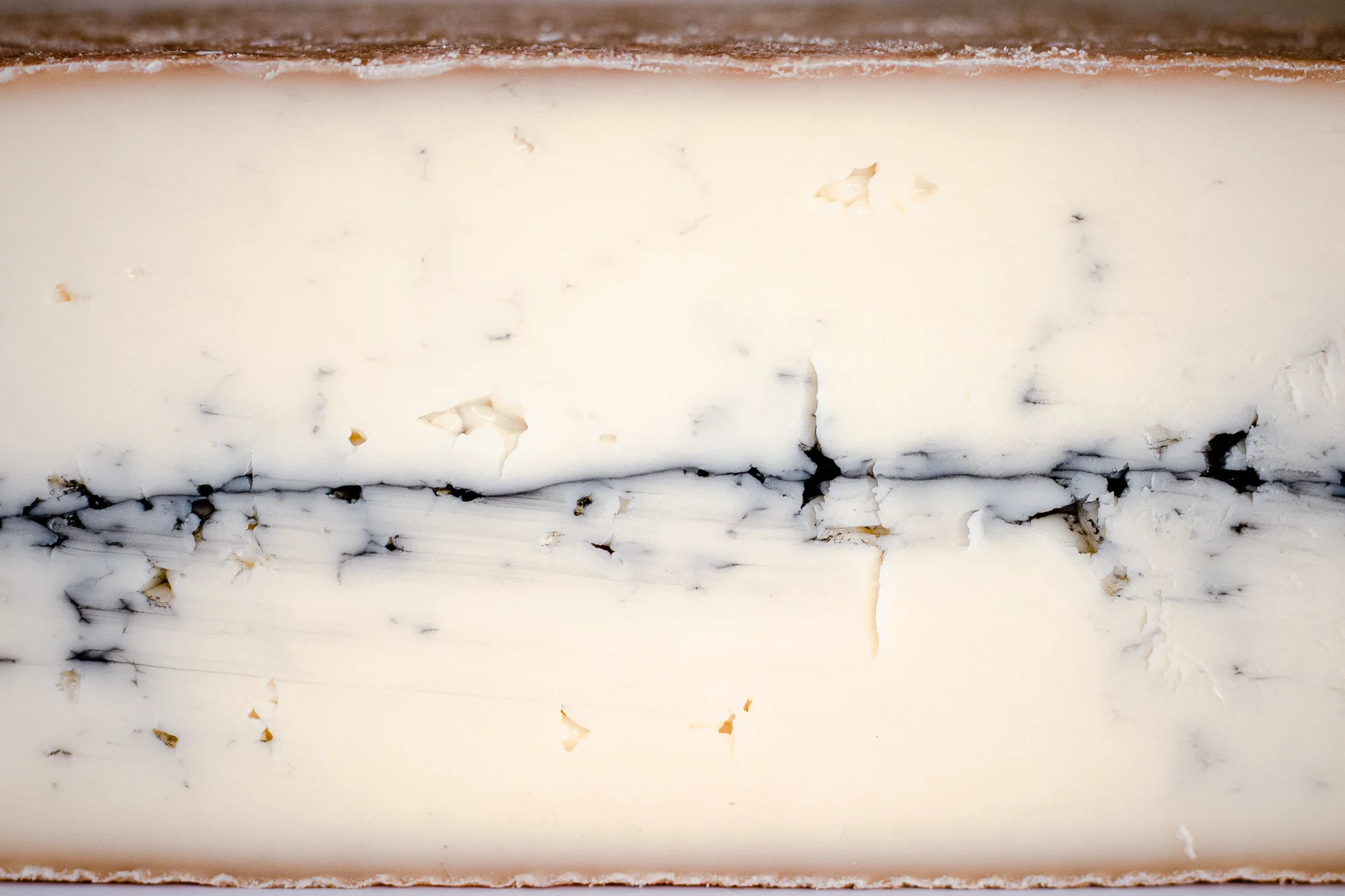 Sequatchie Cove Creamery