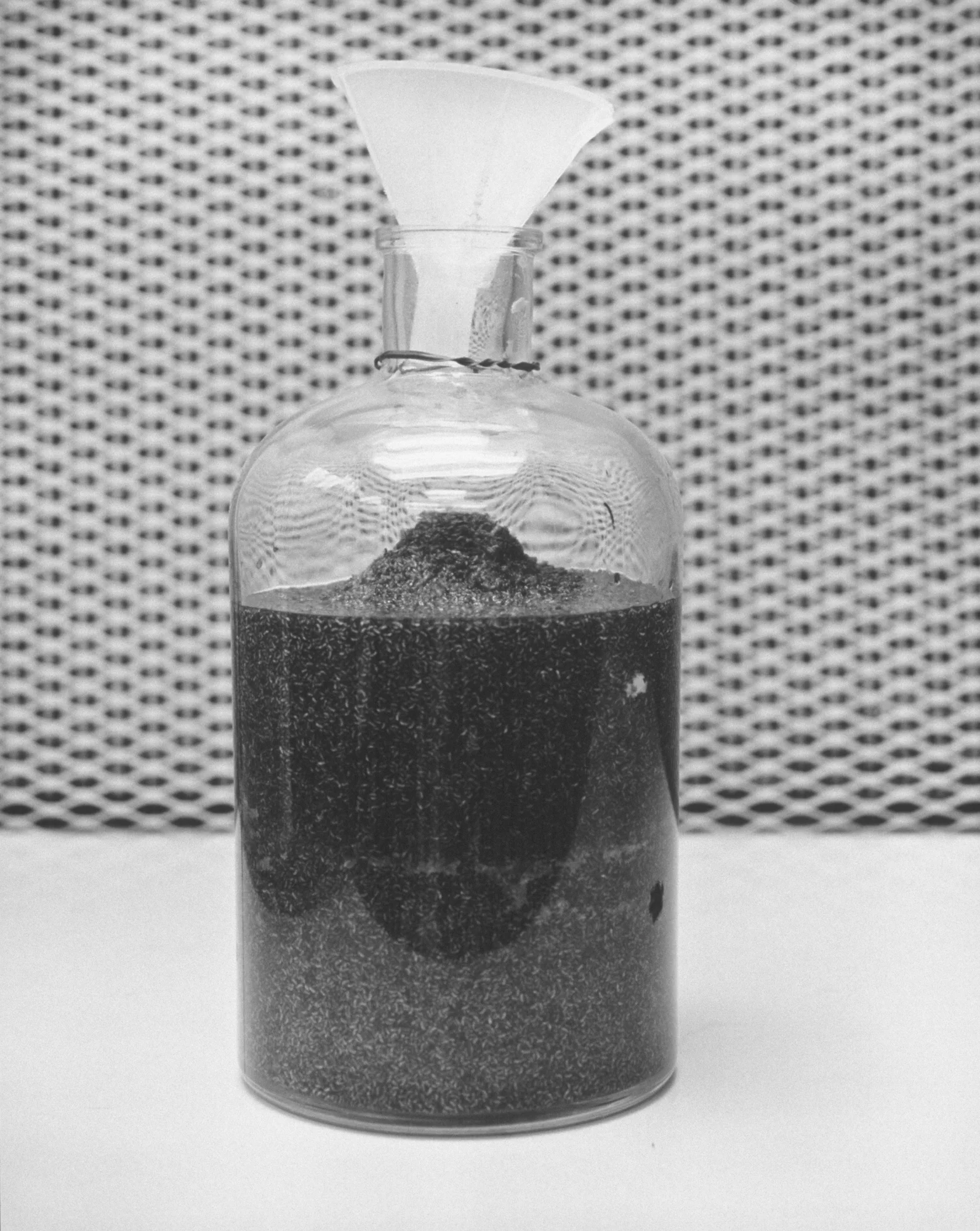 Art & Science: Investigating Matter