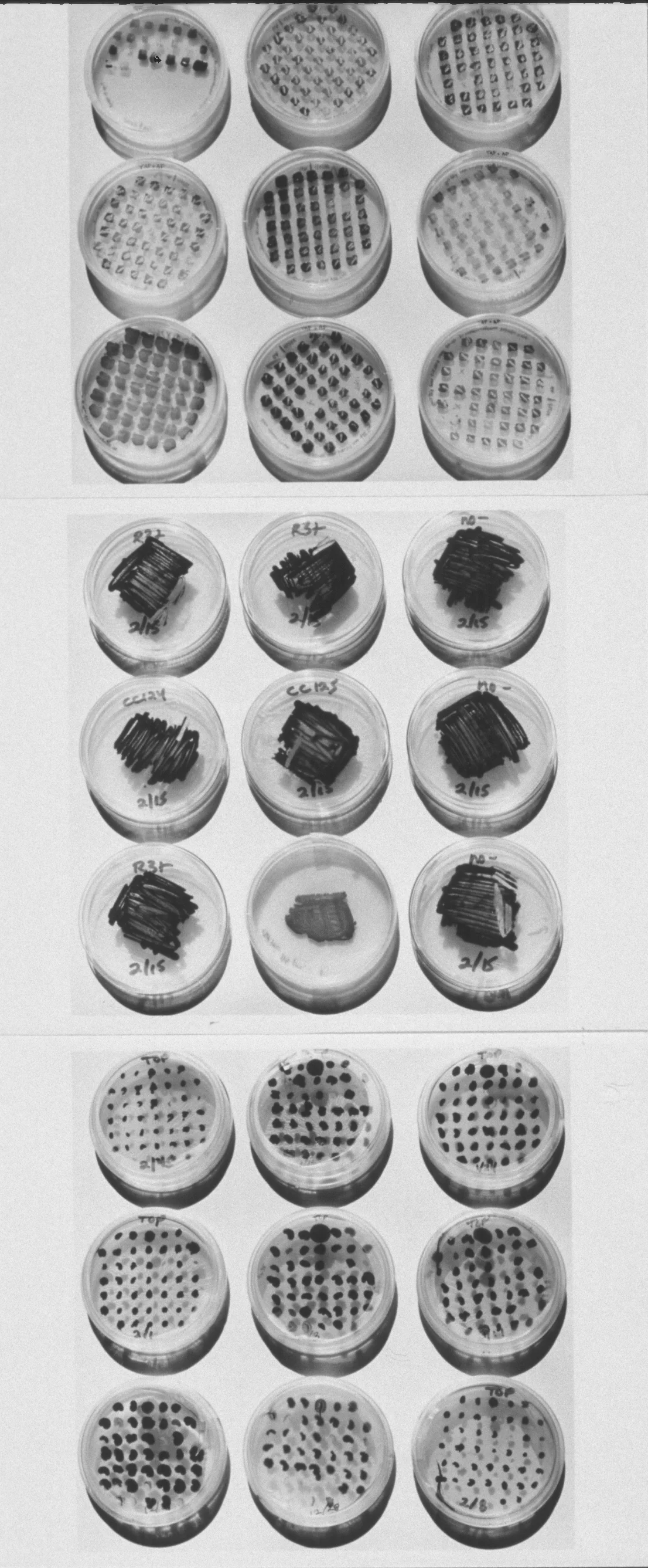 Art & Science: Investigating Matter