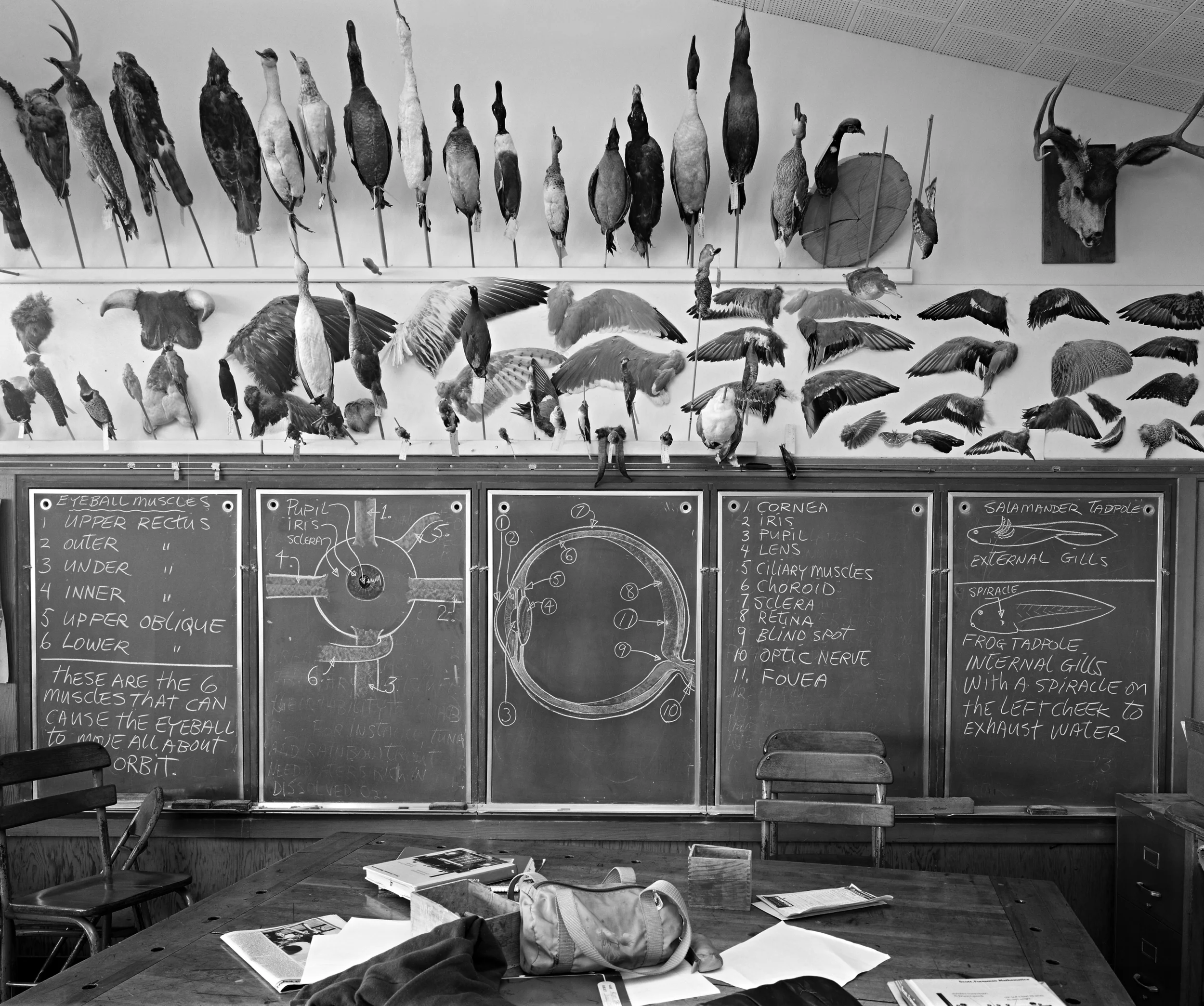 American Classroom