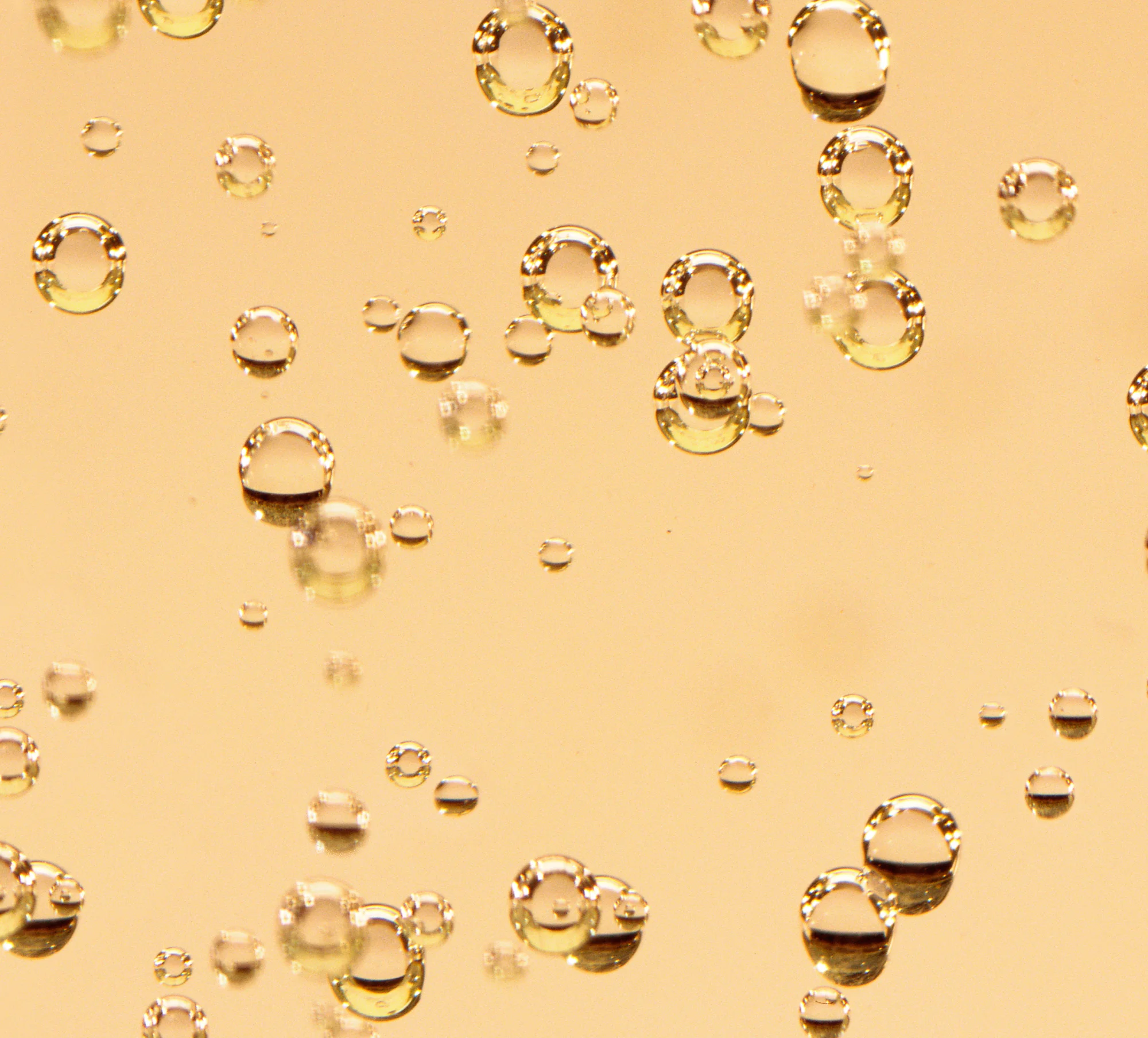 Frisson_detail.jpg