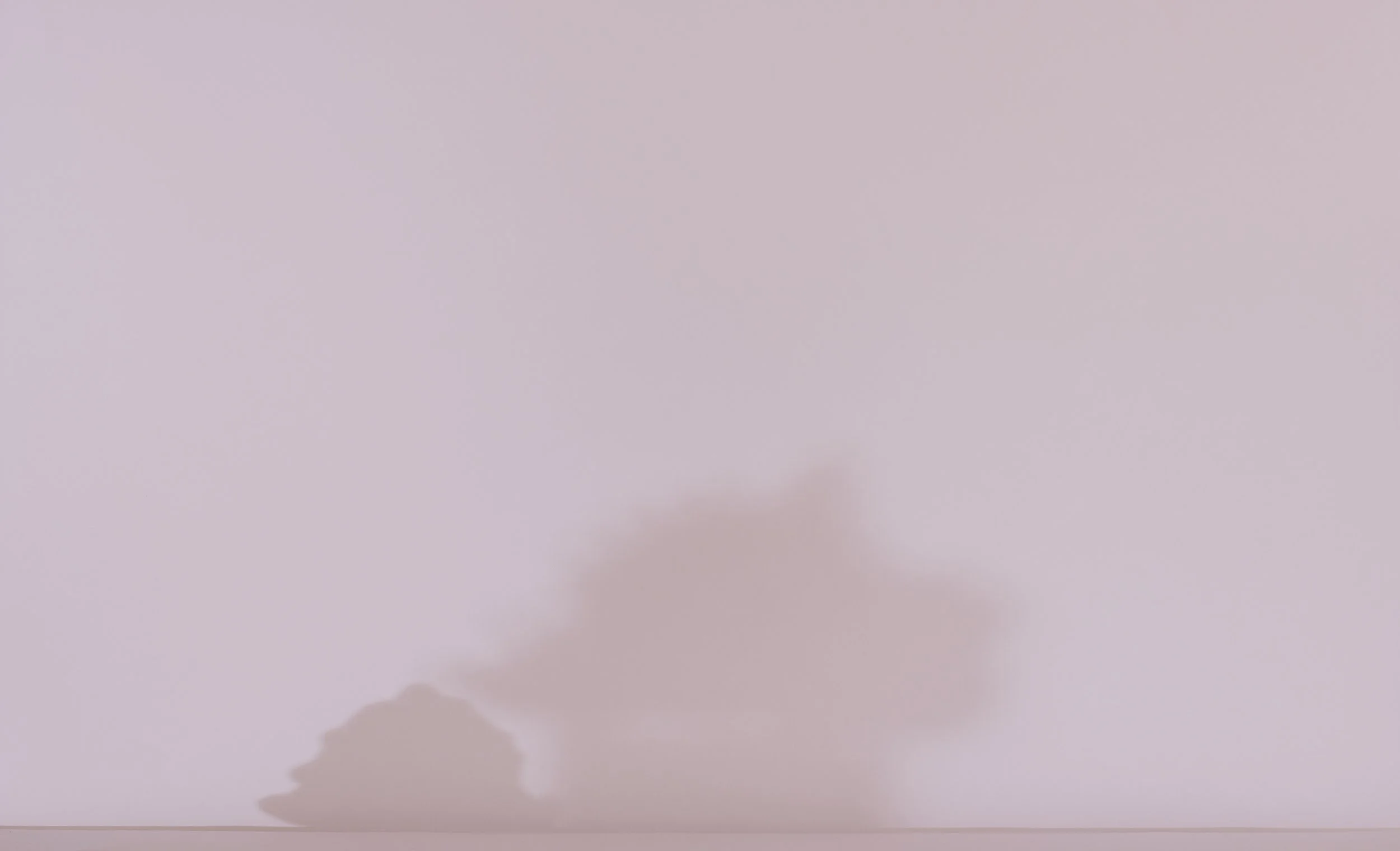 In Situ: Traces of Morandi
