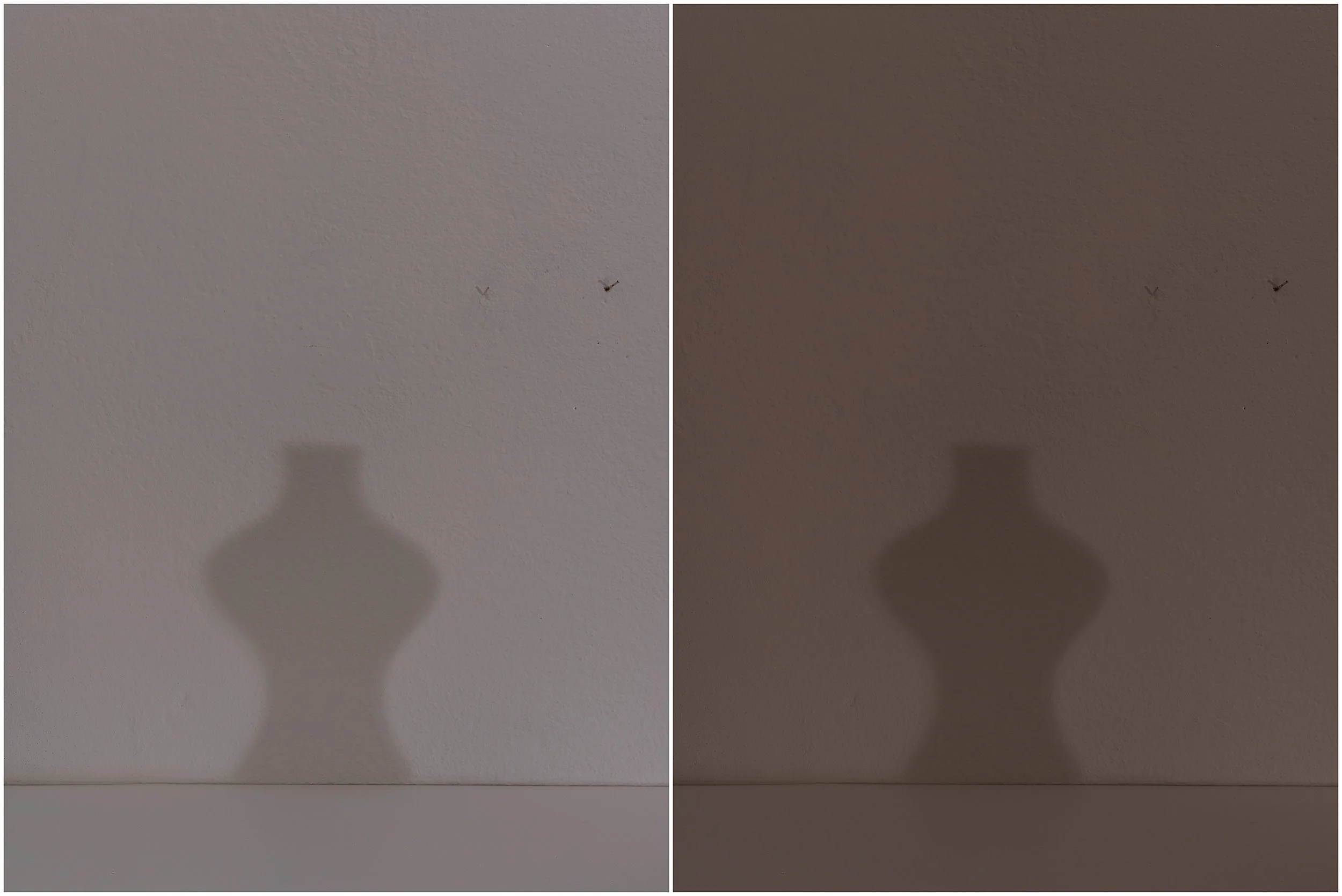 In Situ: Traces of Morandi