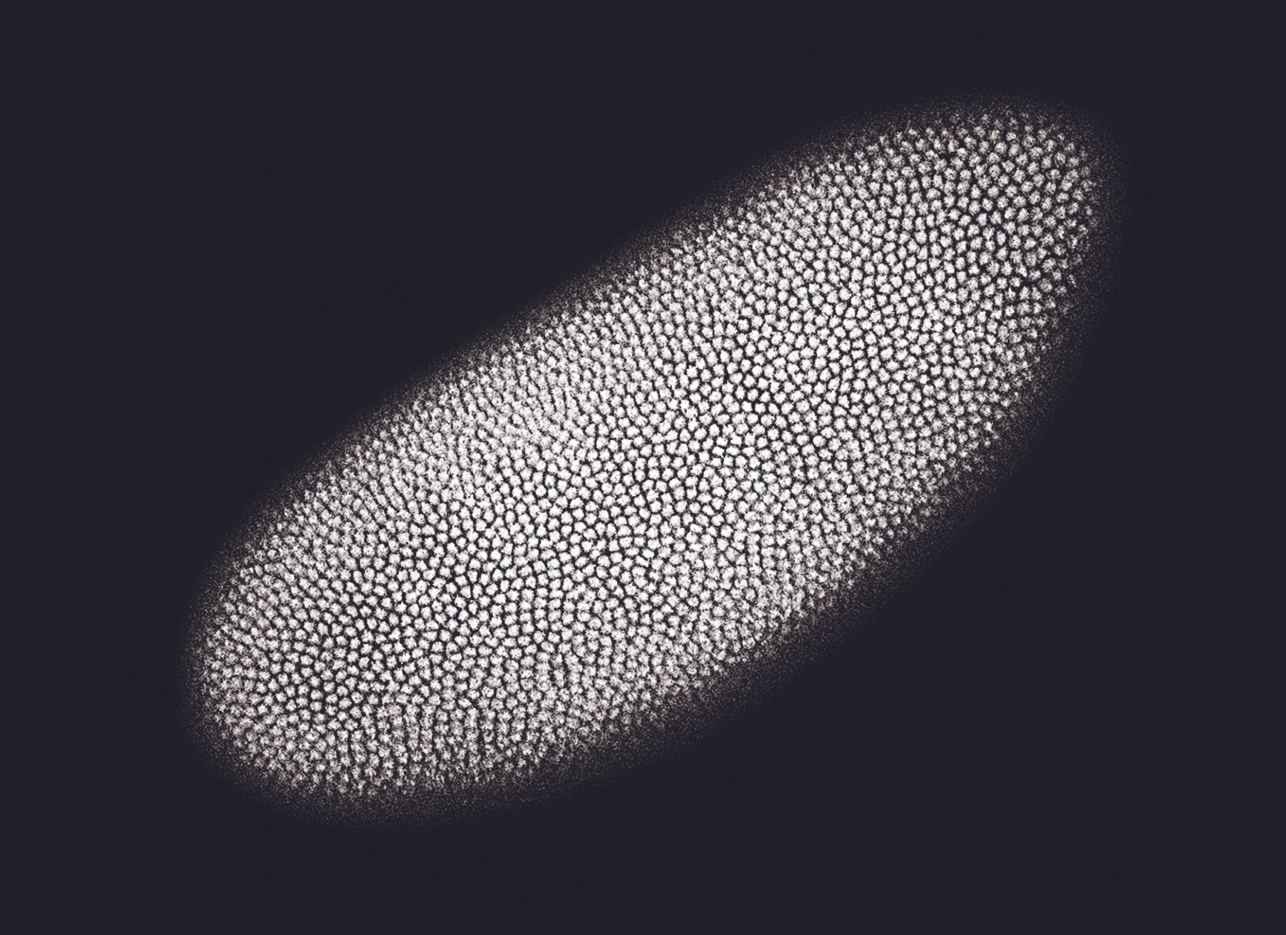 Cross Sections
