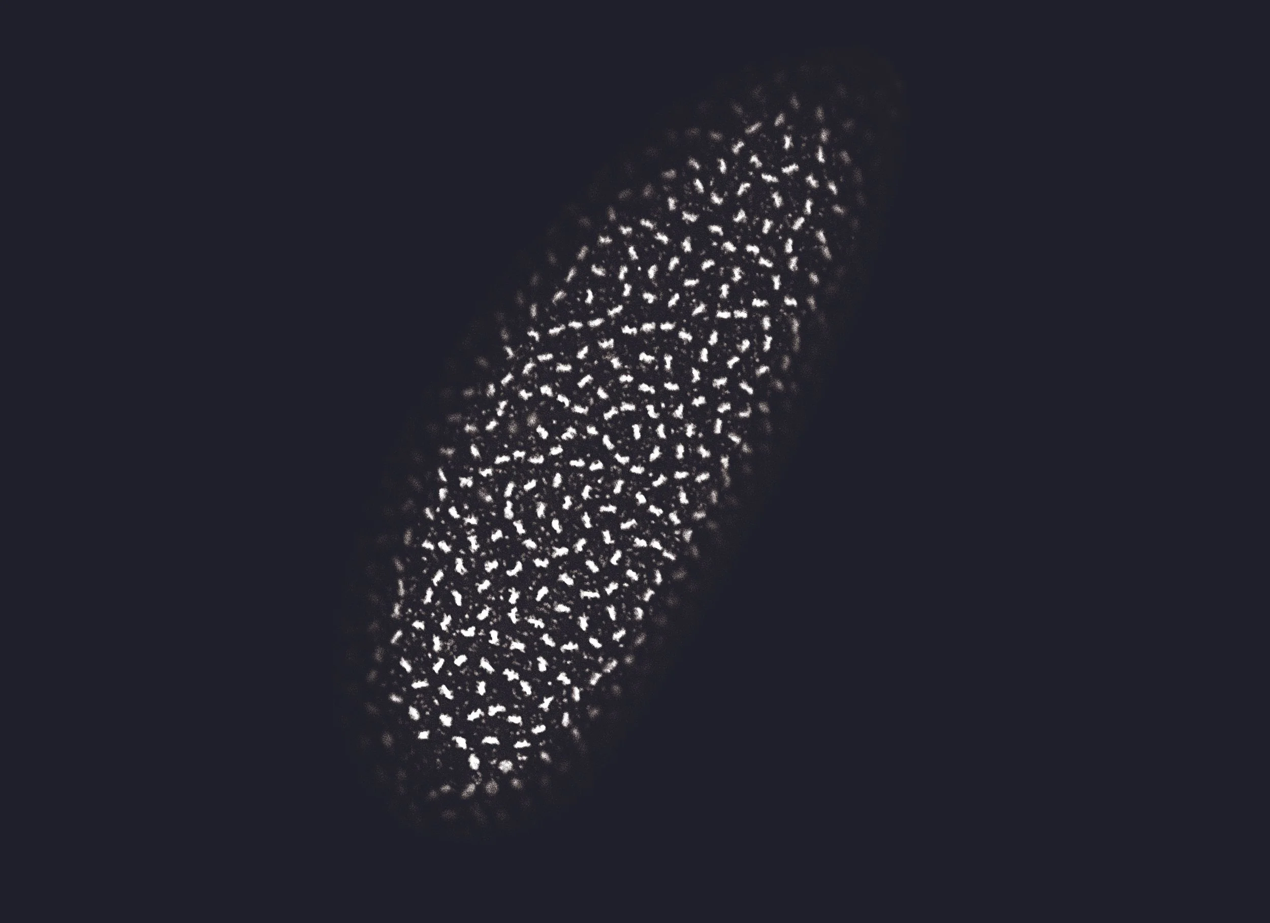 Cross Sections