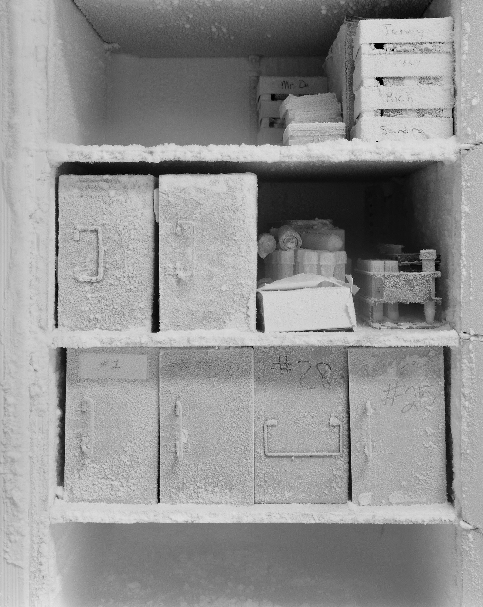Art & Science: Investigating Matter